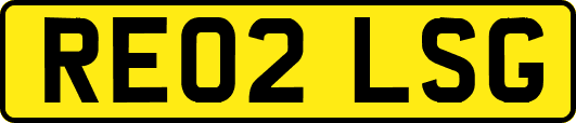 RE02LSG