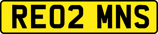 RE02MNS