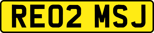 RE02MSJ