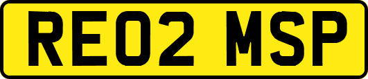 RE02MSP