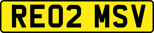 RE02MSV