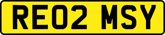 RE02MSY