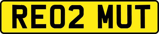 RE02MUT