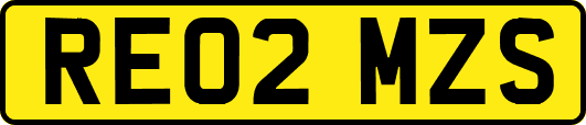 RE02MZS