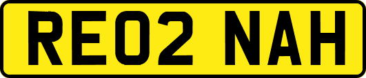 RE02NAH