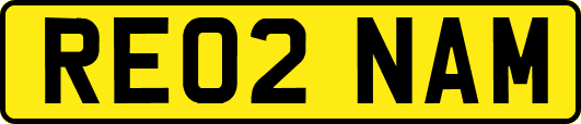 RE02NAM
