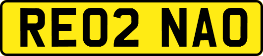 RE02NAO