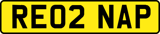 RE02NAP