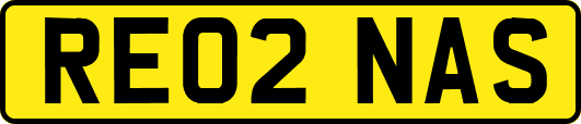 RE02NAS