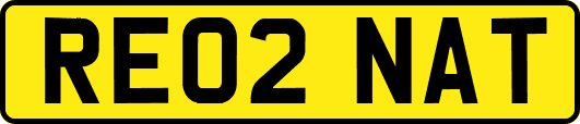RE02NAT