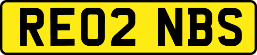RE02NBS