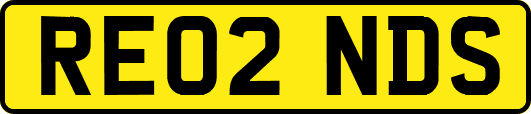 RE02NDS
