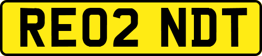 RE02NDT