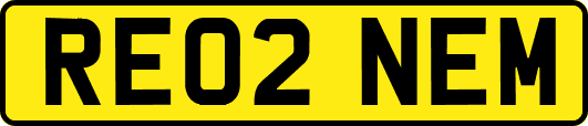 RE02NEM