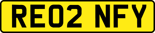 RE02NFY
