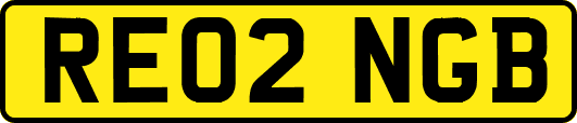 RE02NGB