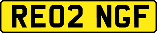 RE02NGF