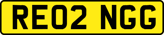 RE02NGG