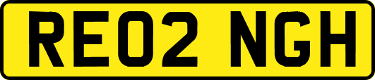 RE02NGH