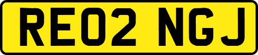 RE02NGJ