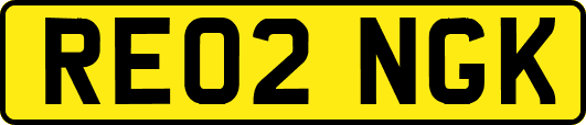 RE02NGK