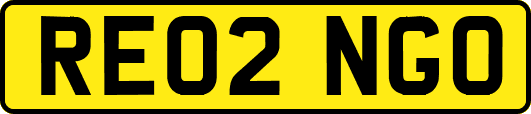 RE02NGO