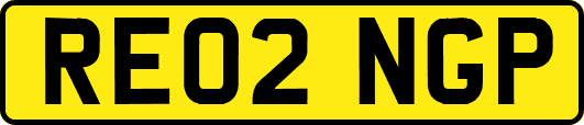 RE02NGP