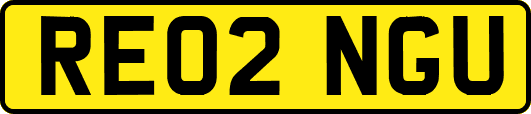 RE02NGU
