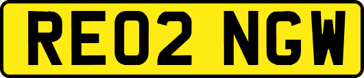 RE02NGW