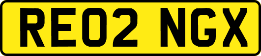 RE02NGX