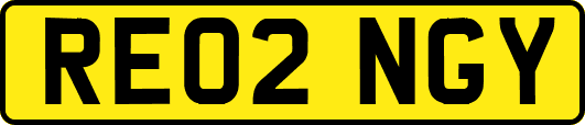 RE02NGY