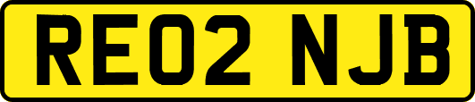 RE02NJB