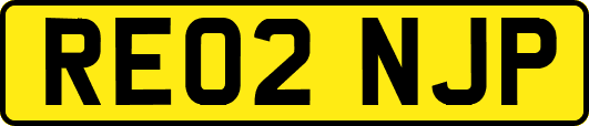 RE02NJP