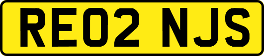 RE02NJS