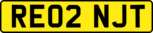 RE02NJT