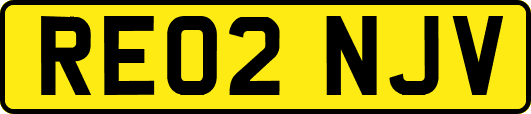 RE02NJV
