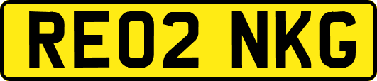 RE02NKG