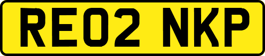 RE02NKP