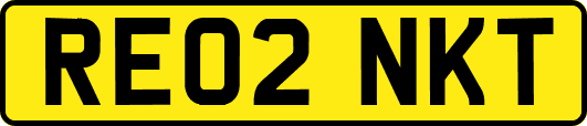 RE02NKT