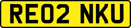 RE02NKU