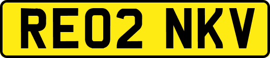RE02NKV