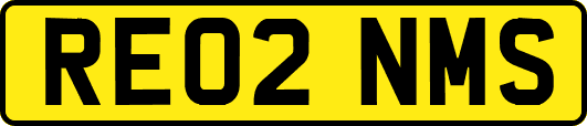 RE02NMS
