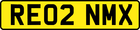 RE02NMX