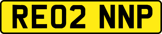 RE02NNP