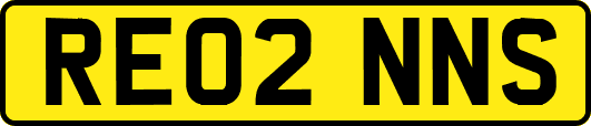 RE02NNS