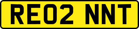 RE02NNT