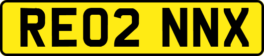 RE02NNX