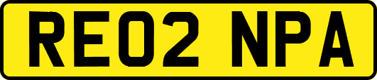 RE02NPA
