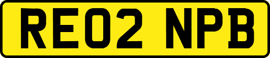 RE02NPB
