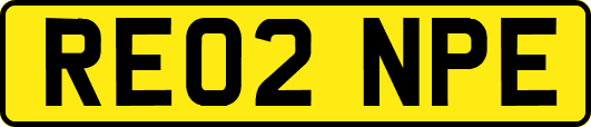 RE02NPE